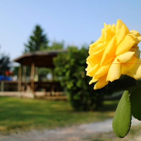 Agriturismo Ai Vigneti Ponti sul Mincio Eksteriør billede